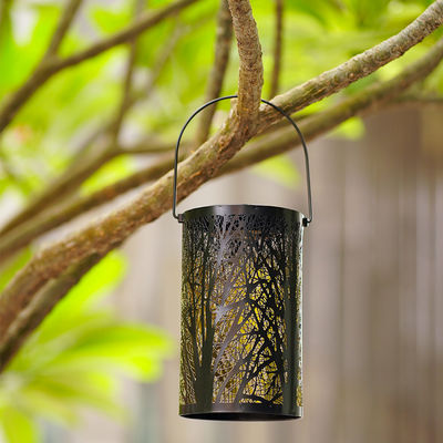 OEM / ODM Solar Garden Ornaments Outdoor Lights With Steady Lighting